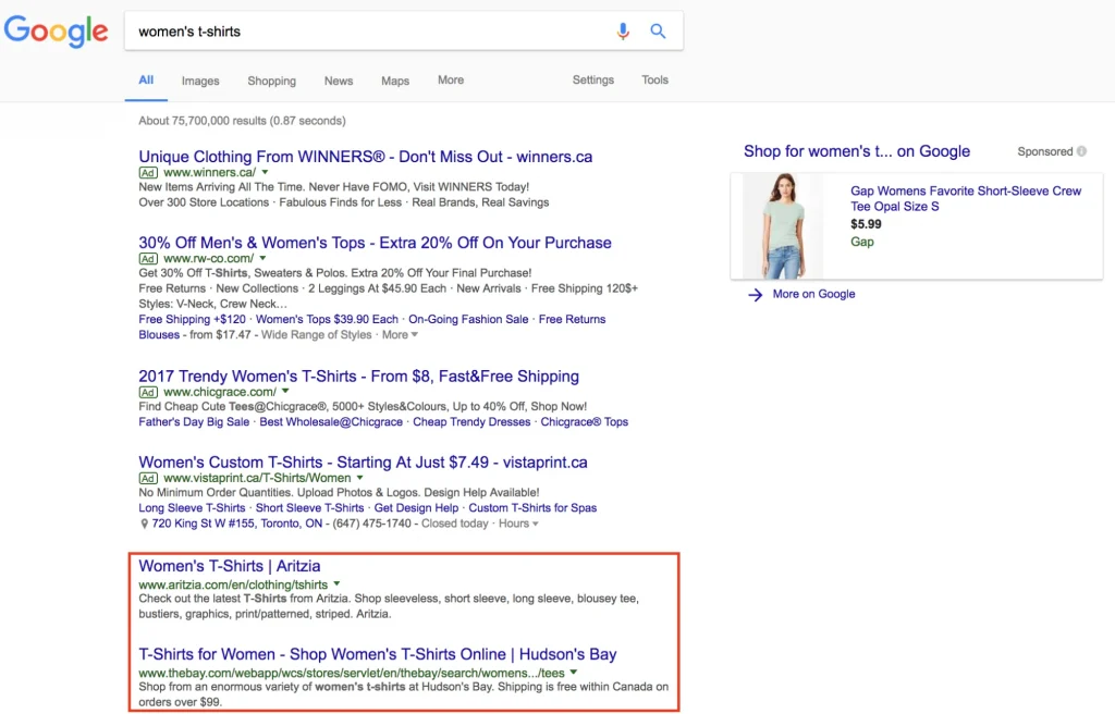 Ecommerce SEO Results in google